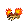 Quilava, màu shiny