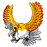 Ho-oh, màu shiny