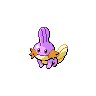 Mudkip, coloração shiny