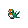 Taillow, màu shiny