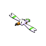 Wingull, màu shiny