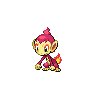 Chimchar, màu shiny
