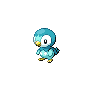 Piplup, coloração shiny