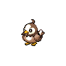 Starly, màu shiny