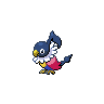 Chatot, coloração shiny