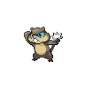 Patrat, coloração shiny