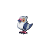 Pidove, màu shiny