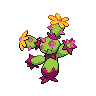 Maractus, coloração shiny
