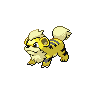 Growlithe, coloração shiny