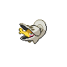 Shelmet, màu shiny