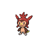 Chespin, coloração shiny