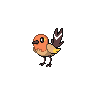 Fletchling, shiny colouring