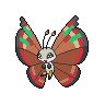 Vivillon Archipelago, shiny colouring