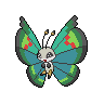 Vivillon Garden, coloração shiny