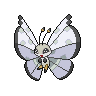 Vivillon Ice Snow, coloração shiny