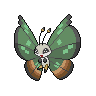 Vivillon Jungle, shiny colouring