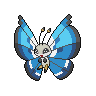 Vivillon Marine, coloração shiny