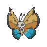 Vivillon River, coloração shiny