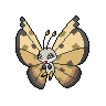 Vivillon Sandstorm, shiny colouring