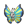 Vivillon Savanna, shiny colouring