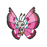 Vivillon Meadow, coloração shiny