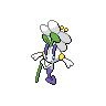 White Floette, shiny colouring
