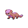 Yungoos, coloração shiny