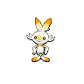 Scorbunny, coloração shiny