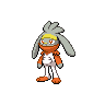 Raboot, shiny colouring